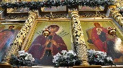 DSC_0499 1.jpg